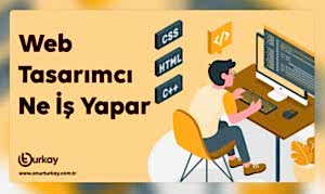 Web Tasarımcı Ne İş Yapar?